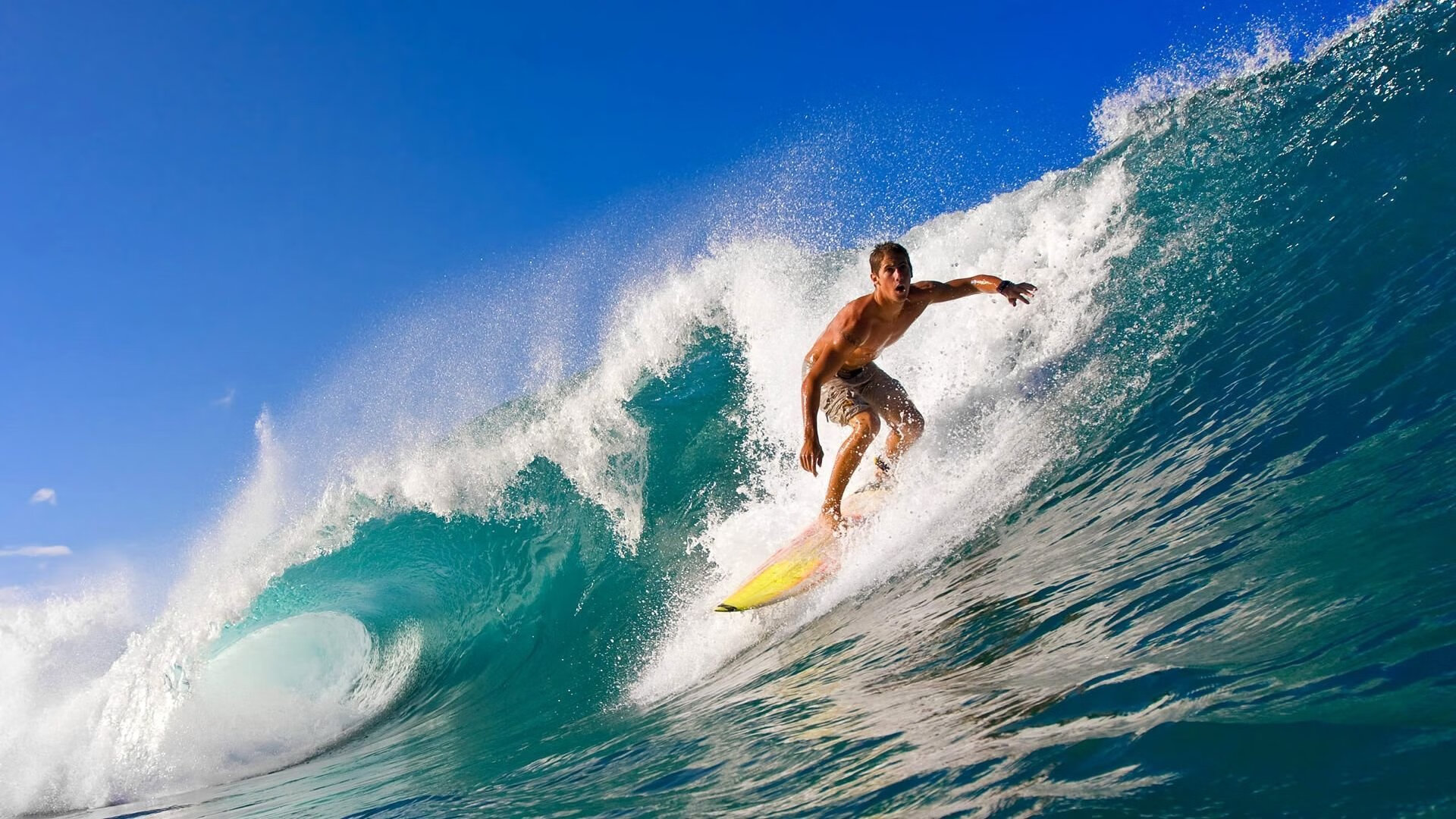 亚历克斯·格林伍德在关键时刻的防守反击为袋鼠队创造反攻机会