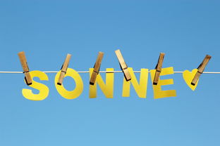 爱游戏在线娱乐官网-体育新闻中心公告全国夏季赛事气象应急预案，赛事应急预案模板